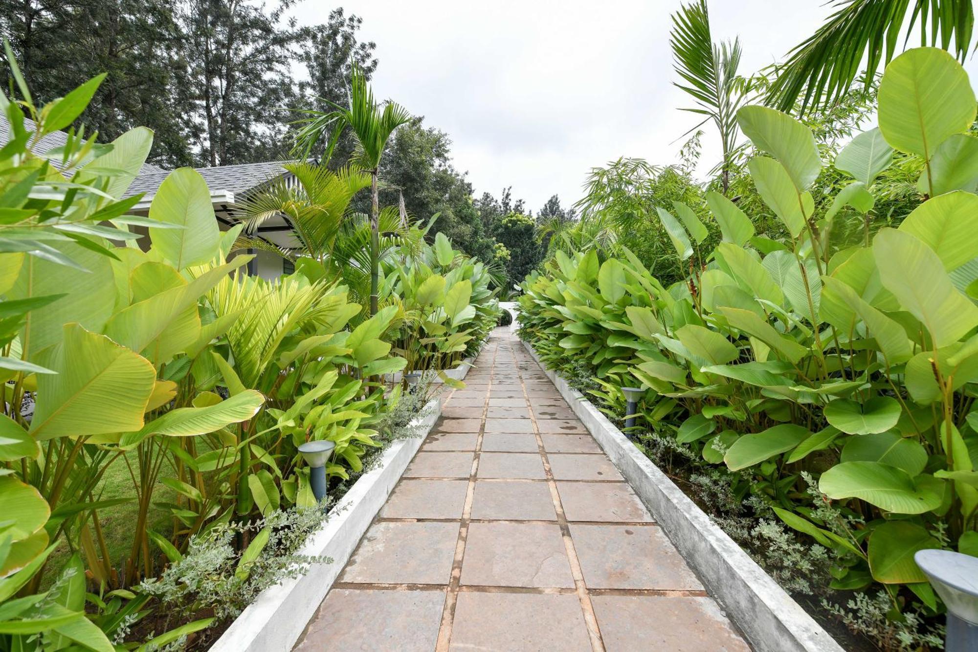 Inventree Aranya Resort & Spa ماديكيري المظهر الخارجي الصورة